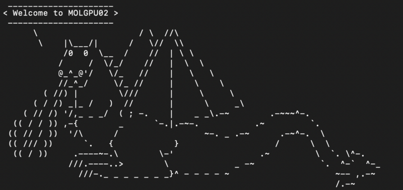 A terminal screenshot featuring an ASCII art of a dragon, with the text